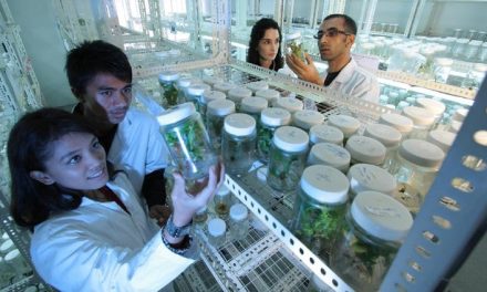 Mahasiswa Jember Berhasil Ciptakan Laboratorium AI Canggih