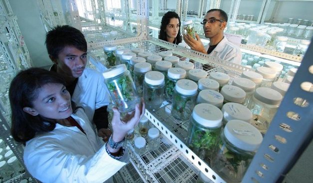 Mahasiswa Jember Berhasil Ciptakan Laboratorium AI Canggih