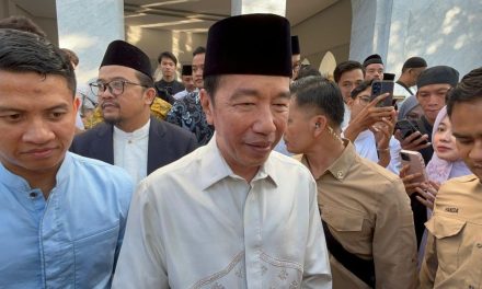  Joko Widodo Keliling Indonesia, Pengamat Menilai Ada Misi Politik