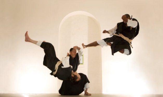 Shorinji Kempo Ilmu Bela Diri Berasal Dari Jepang
